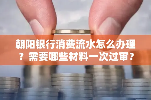 朝阳银行消费流水怎么办理?需要哪些材料一次过审?