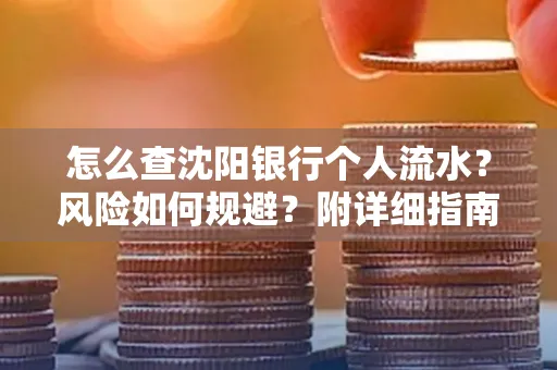 怎么查沈阳银行个人流水?风险如何规避?附详细指南