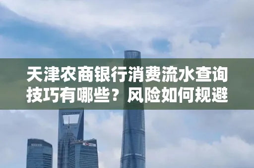 天津农商银行消费流水查询技巧有哪些?风险如何规避?