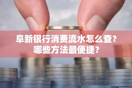 阜新银行消费流水怎么查?哪些方法最便捷?