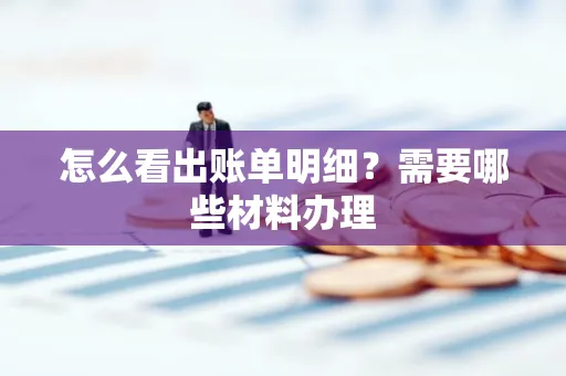 怎么看出账单明细?需要哪些材料办理