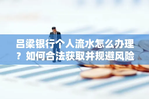 吕梁银行个人流水怎么办理?如何合法获取并规避风险?