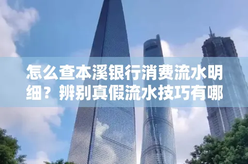 怎么查本溪银行消费流水明细?辨别真假流水技巧有哪些?