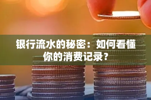 银行流水的秘密:如何看懂你的消费记录?