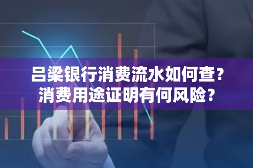 吕梁银行消费流水如何查?消费用途证明有何风险?