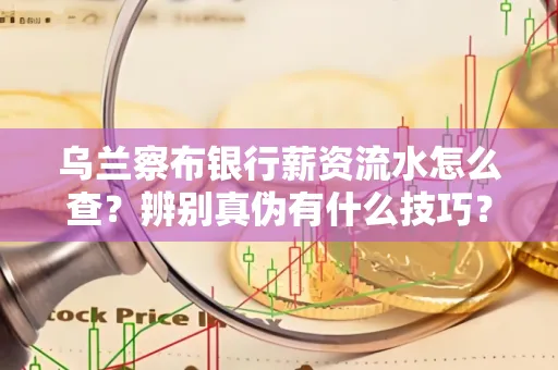 乌兰察布银行薪资流水怎么查?辨别真伪有什么技巧?