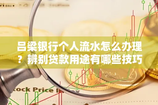 吕梁银行个人流水怎么办理?辨别贷款用途有哪些技巧?