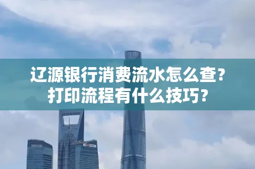 辽源银行消费流水怎么查?打印流程有什么技巧?