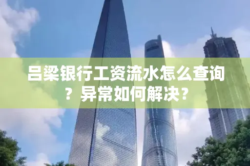 吕梁银行工资流水怎么查询?异常如何解决?