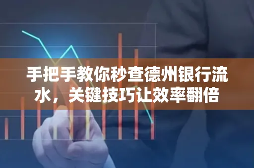 手把手教你秒查德州银行流水,关键技巧让效率翻倍