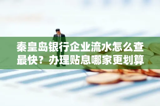 秦皇岛银行企业流水怎么查最快?办理贴息哪家更划算?