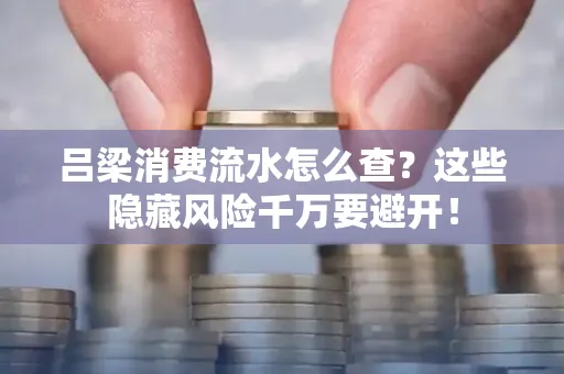 吕梁消费流水怎么查?这些隐藏风险千万要避开!