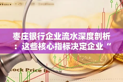 枣庄银行企业流水深度剖析:这些核心指标决定企业“钱袋子”健康度