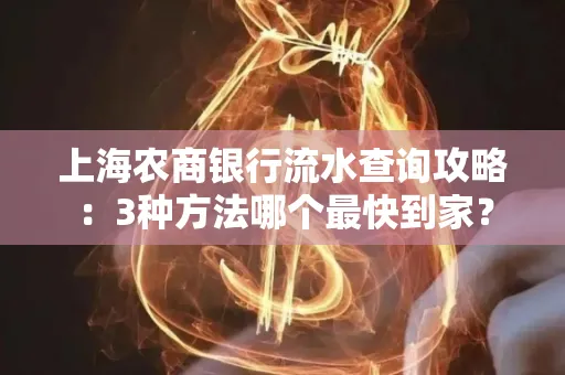 上海农商银行流水查询攻略:3种方法哪个最快到家?