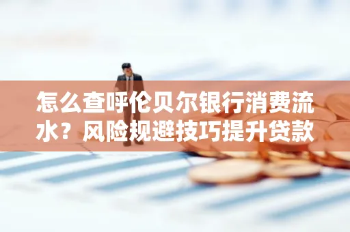 怎么查呼伦贝尔银行消费流水?风险规避技巧提升贷款率?